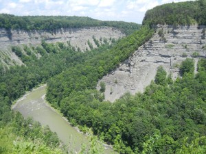 Genesee River gorge