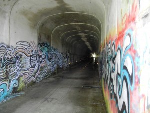 Tunnel on the Sandy Creek Trial