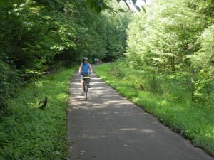 Sandy Creek Trail