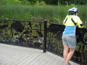 Wetland view, Metropark bike path along Rocky River near Cleveland