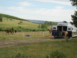 camping Wyoming style in the Bighorn NF