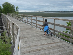 Mississippi River outlet from Bemidji Lake