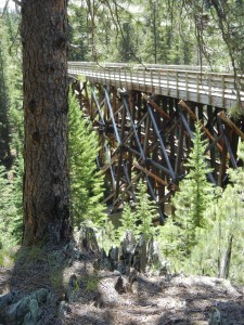 Mickelson Trail trestle (note jagged vertical plates of slate protruding from the ground at the foot of the tree in the foreground)