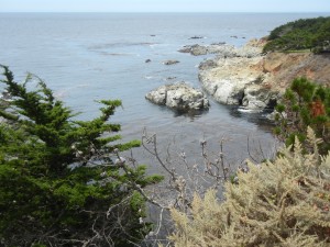 along the Pacific Coast Highway