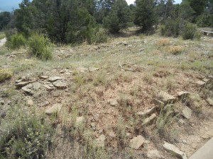 one of the many unexcavated pit houses (the depression about 1/3 of the way down in the photo)