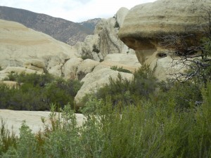 Piedra Blanca