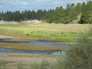 view from our campsite of Boca "Reservoir" (reduced to a small stream by the 4-year California drought)