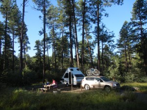 campsite in Prescott NF in tall pines & shrubby oaks