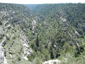 Walnut Canyon