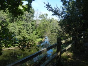 along the Kal-Haven bike trail