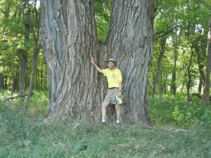 Paul a admiring a big cottonwood