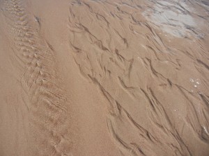 ripples in Medano Creek