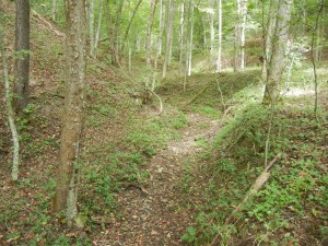 Wildcat Hollow Trail