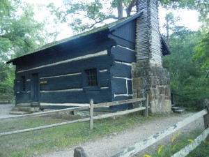 log house built from big tulip trees