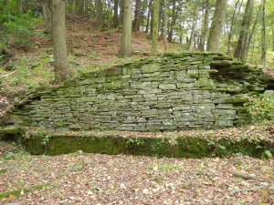 old woolen mill remains