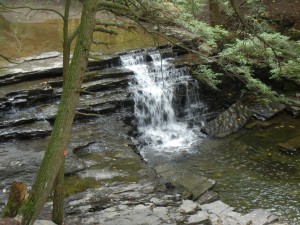 the uppermost of three falls on Fall Creek