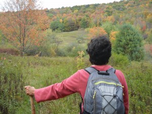 fall colors in Pennsylvania