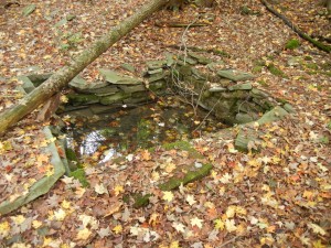 old farmhouse well beside an old wood road