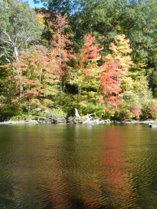 fall colors reflected in Connecticut's Farmington River