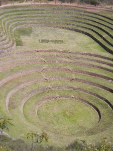 Moray experimental terraces