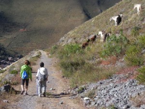 the old Incan haul road from the quarry across the Villcanota River from the construction site above Ollantaytambo