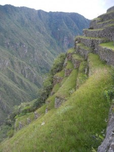 terracing used to stabilize steep slope