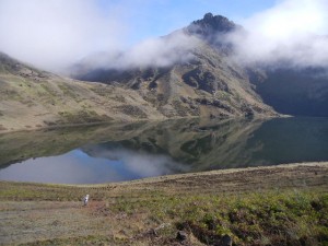 high elevation potato fields