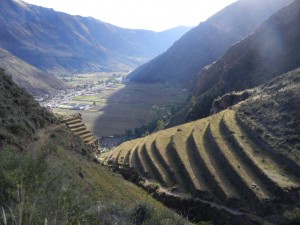 agricultural terraces above the Sacred Valley