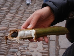 guaba, the "cotton candy" fruit (the white layer around the dark seeds is delicious)