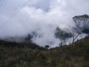 crossing a high ridge into the cloud forest