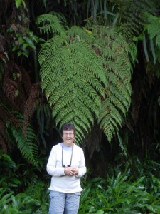 big ferns in the lush cloud forest