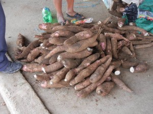 yuca roots in a village market (a common way they prepare them is similar to French fries)