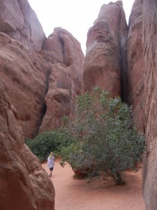 trail to Sand Dune Arch