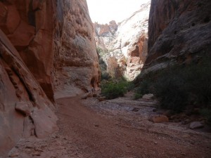 the Narrows section of the Grand Wash trail in Capitol Reef NP