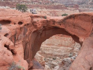 Cassidy Arch, Capitol Reef NP