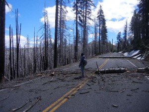 part of the 36,000-acre burn in 2012