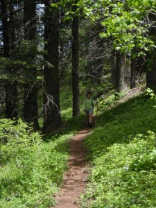 Pacific Crest Trail east of Pilot Rock