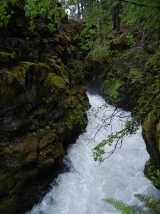 Rogue River gorge