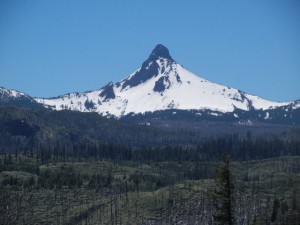 Mount Washington and the aftermath of a big fire