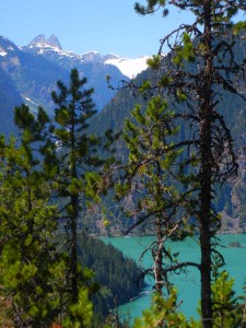 Diablo Lake viewed from Thunder Knob