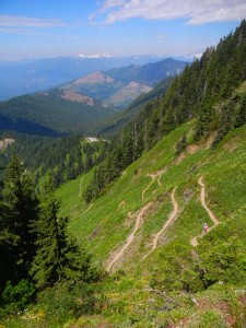 Switchbacks ascending Sauk Mtn