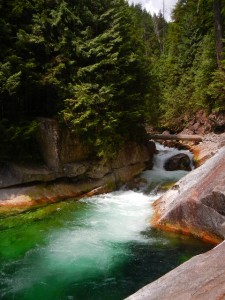 rapids above Lower Falls