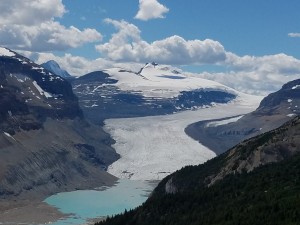 view of Saskatchewan Glacier from Parker Ridge