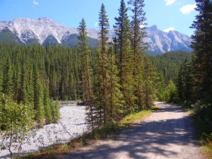 Spray River trail