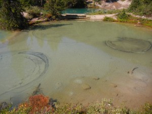 upwelling in the pools at the Ink Pots