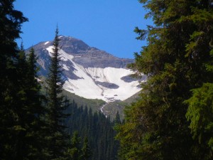 view across Bostock Creek valley