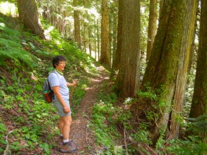 peaceful cedar woods on a trail where we saw no other hikers all day