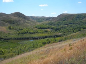 a coulee in the South Saskatchewan River valley