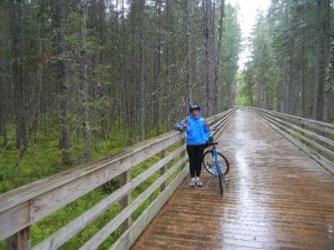 crossing the Black Spruce Boardwalk over a sphagnum bog in the rain