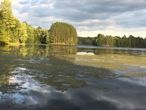 view from our campsite at Spearhead Point on Mondeaux Flowage